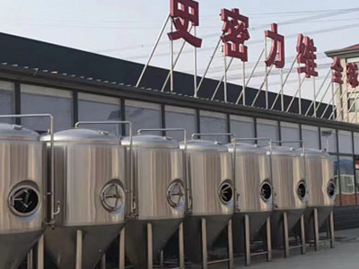 砀山精酿啤酒设备厂—如何判断精酿啤酒设备的密封件需要更换？